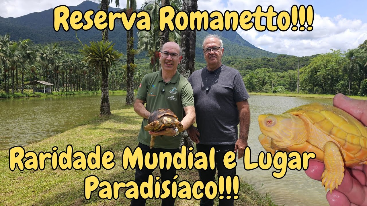 RICARDO ROMANETTO O REI DAS TARTARUGAS!VÍDEO DIFERENTE E ESPETACULAR!