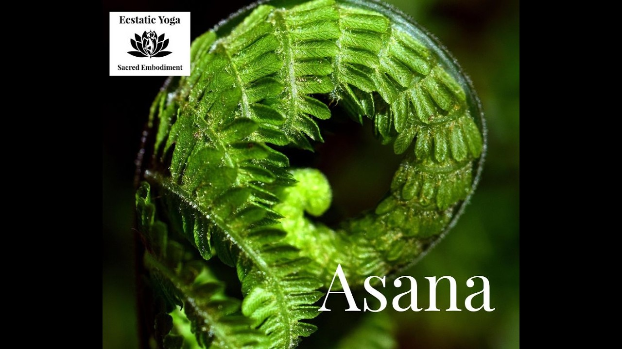 EY wk 3 Asana Pran Vayu 300 YTT