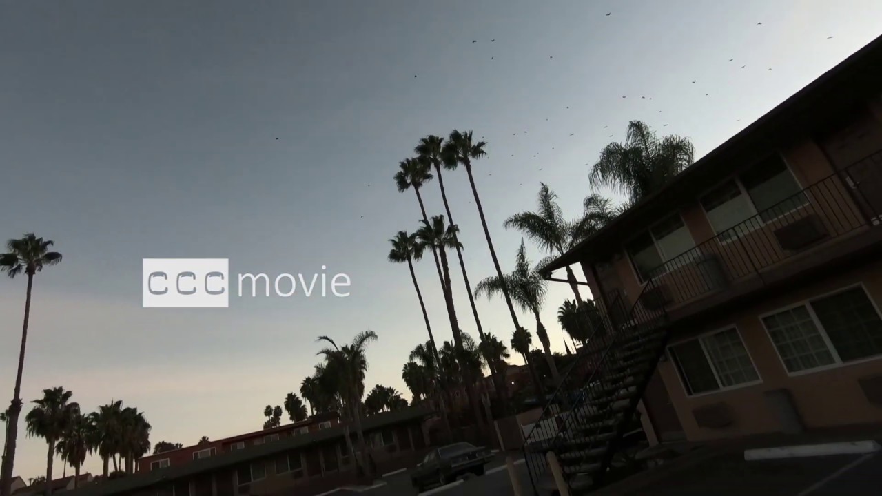 Birdstrozing - the power of mind