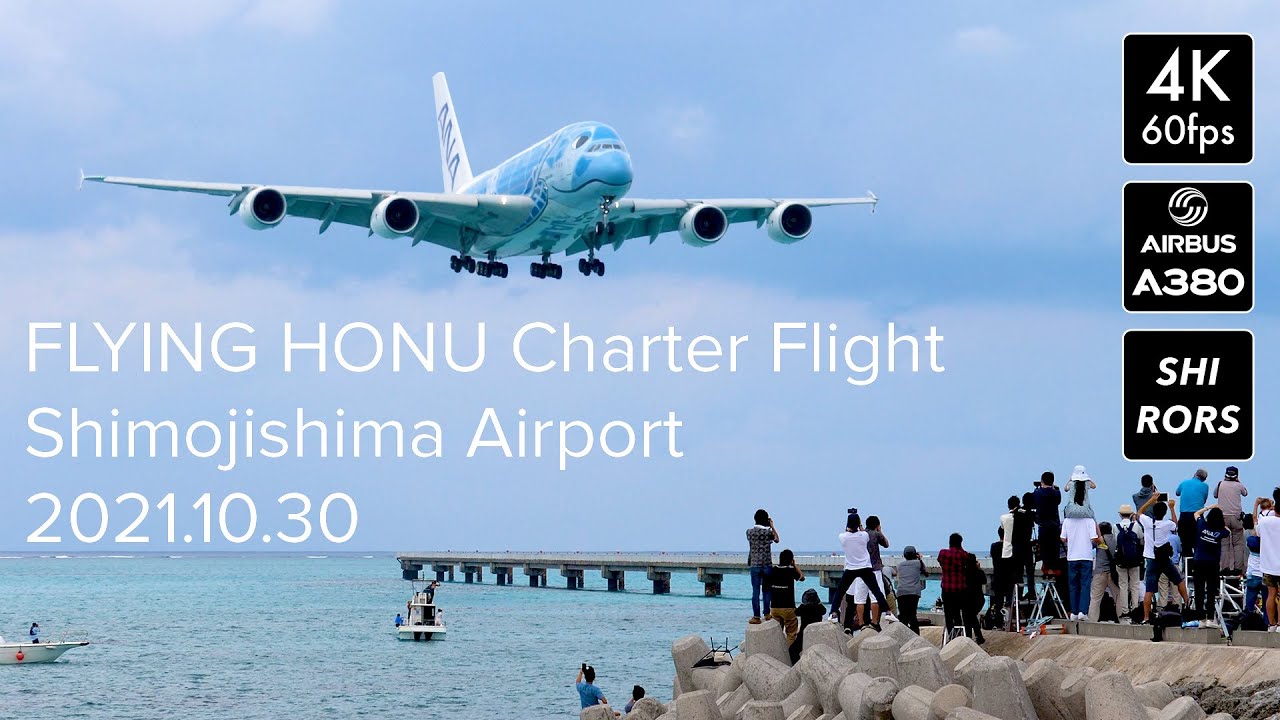 [4K60p 聖地に飛来] ANA FLYING HONU 下地島空港17エンドアプローチ [Airbus A380]