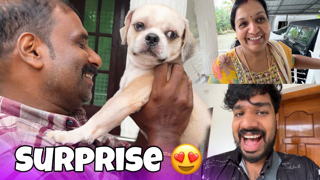 SURPRISING FAMILY 🤩| NEW DOG ❤️