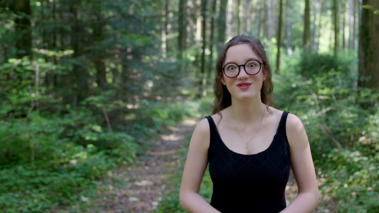 Highlights Waldkonzert