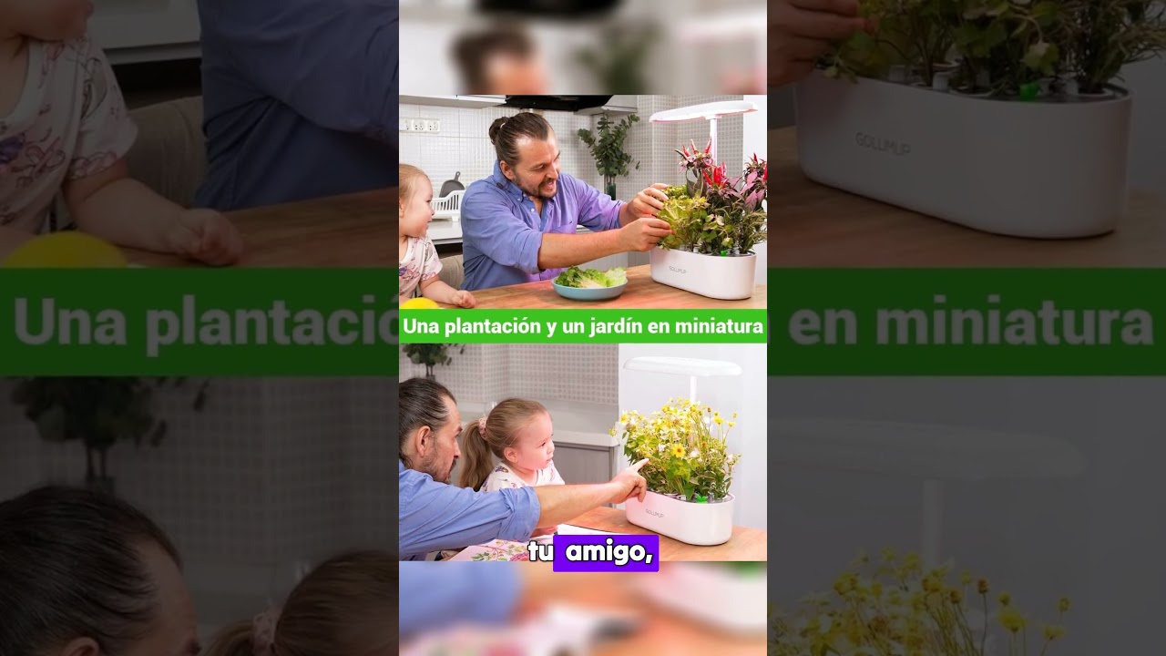Sistema de Cultivo Hidrop&oacute;nico Kit de Cultivo Interior con Iluminaci&oacute;n LED Autom&aacute;tica