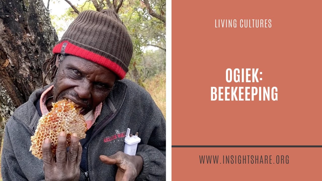 Ogiek, Kenya: Beekeeping