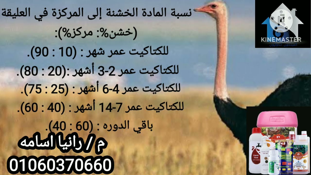 ازاي تعمل خلطه علف للنعام
