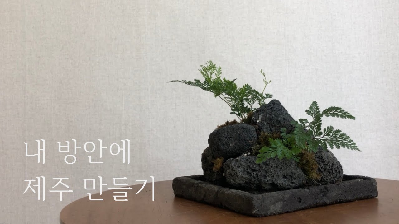 제주가 가고싶어 내 방안에 제주를 만들었다 | 화산석 화분 만들기 후마타 고사리 이끼 플랜테리어