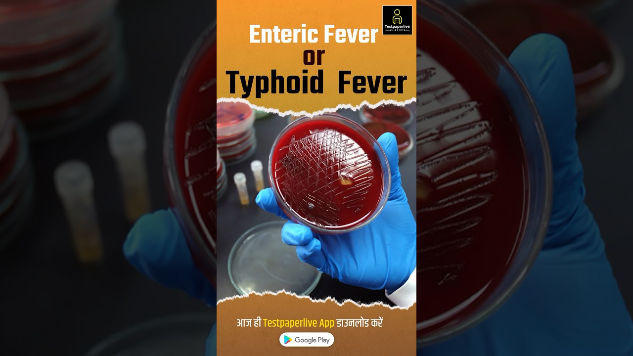Enteric Fever and typhoid Fever | Cause | Symptoms| Diagnosis #EntericFever #typhoidfever #shorts