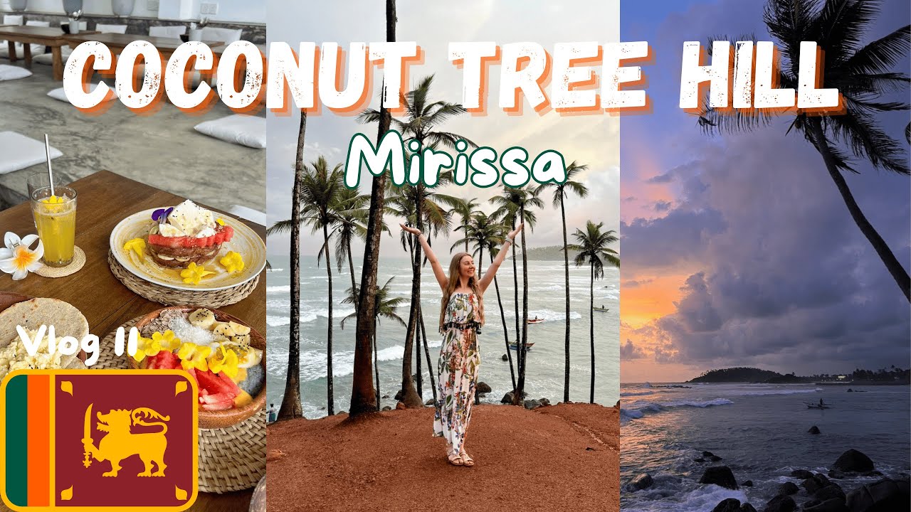 COCONUT TREE HILL, MIRISSA !! Bus Travel, Sri Lankan traditional food I South Sri Lanka I Vlog 11