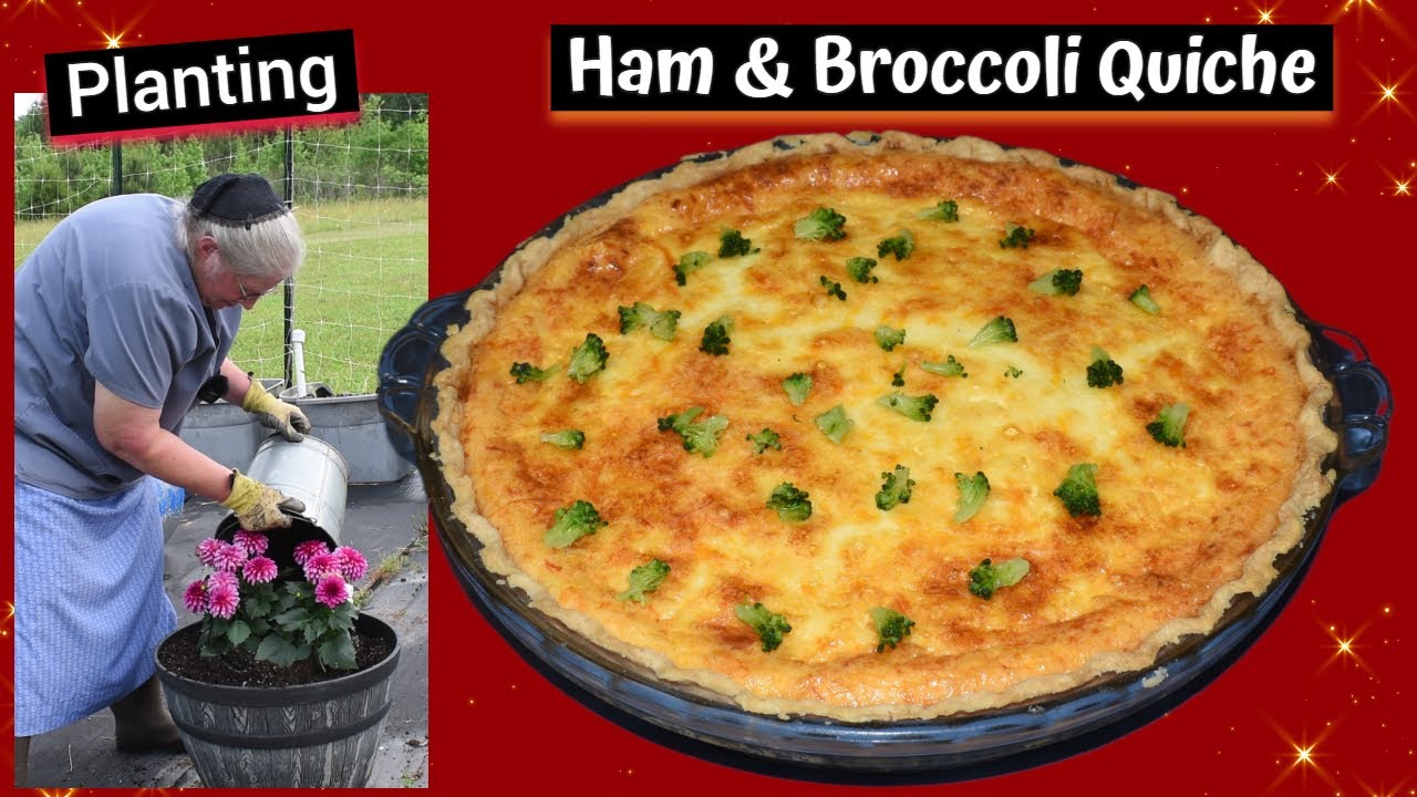 Planting Sweet Potatoes, Scrumptious Homemade Cheesy Ham and Broccoli Quiche, Inspirational Thought