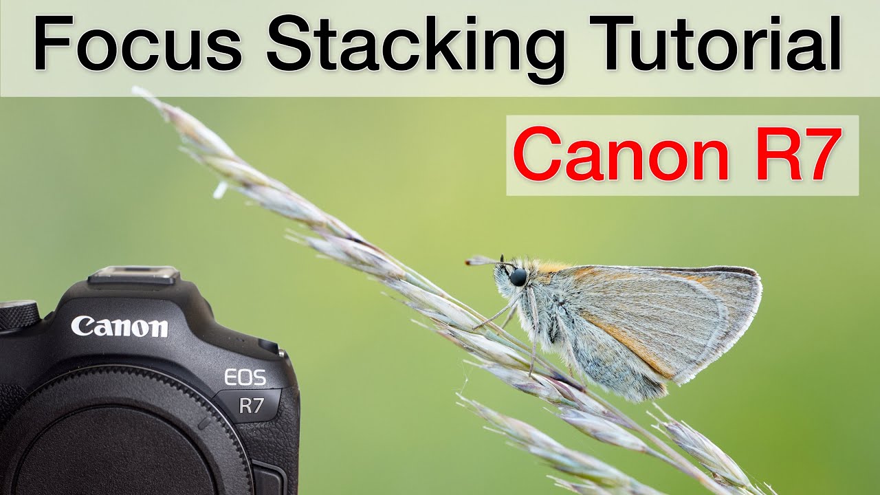 Focus stacking on the Canon R7 - Tutorial (step-by-step)