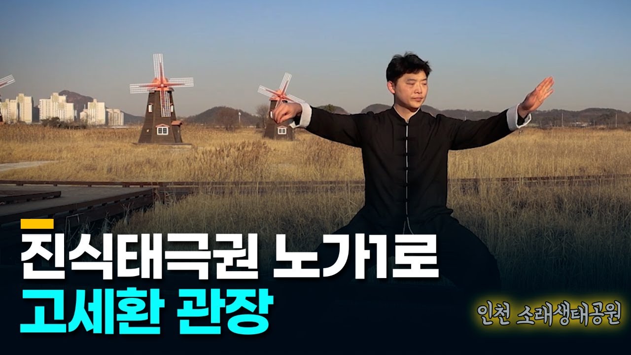 진식태극권 노가1로 고세환 관장