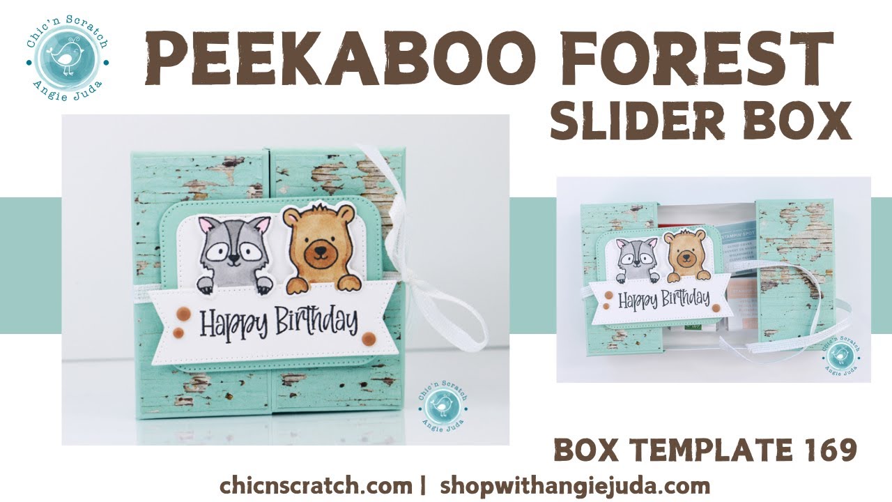 Peekaboo Forest Slider Box