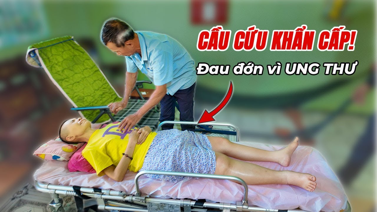 535. Một Cuộc Gọi Cầu Cứu Cho Người Phụ Nữ Đang Đau Đớn Vì Ung Thư