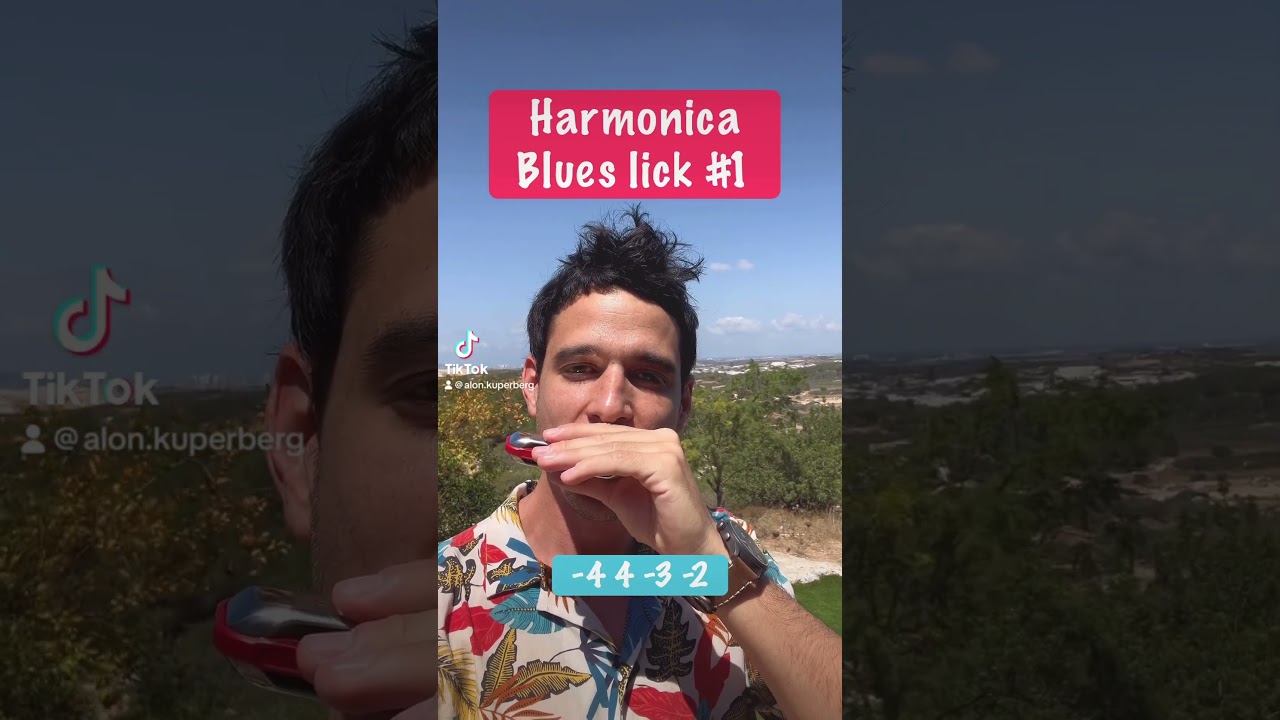 Harmonica Blues lick #1 (for beginners)