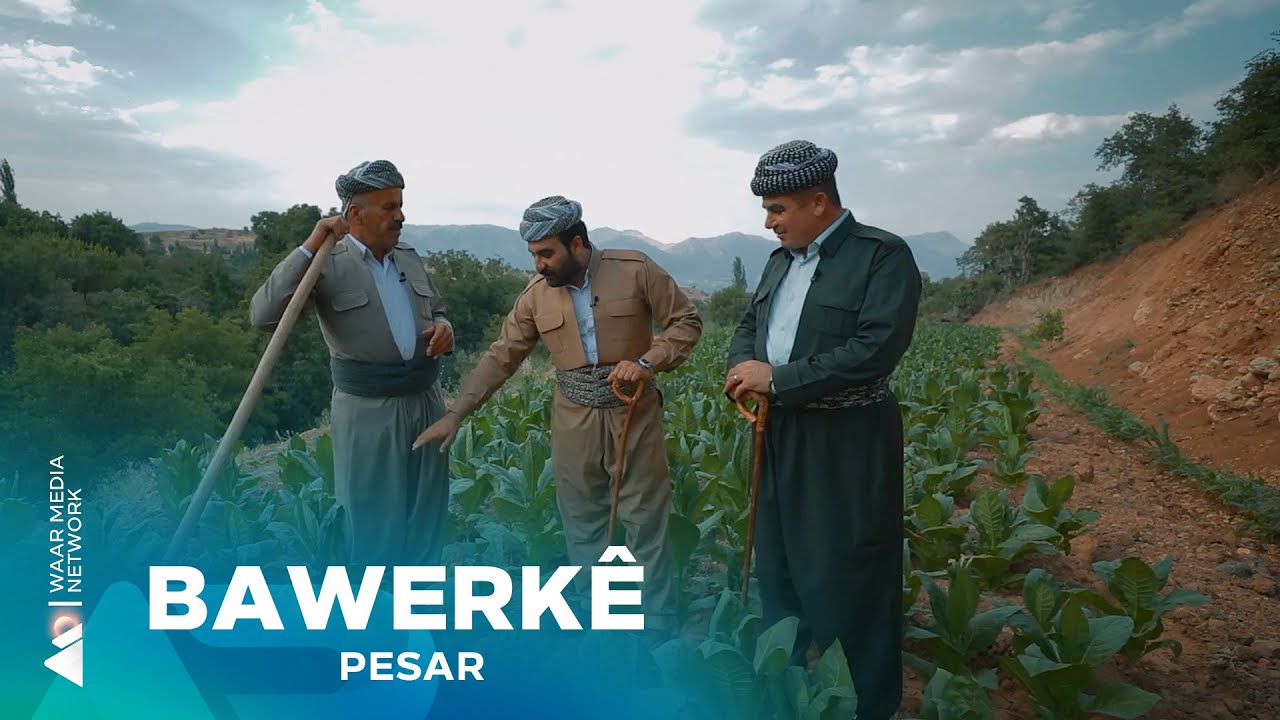 Pesar - Bawerkê | پەسار- باوەرکێ
