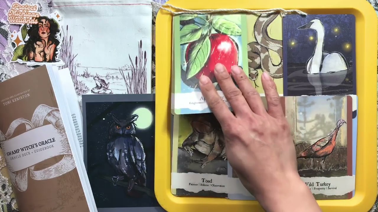 AKU402 - Day 395 #kickstarter #unboxing The Swamp Witch’s Oracle #oraclewalkthrough #oracleunboxing 