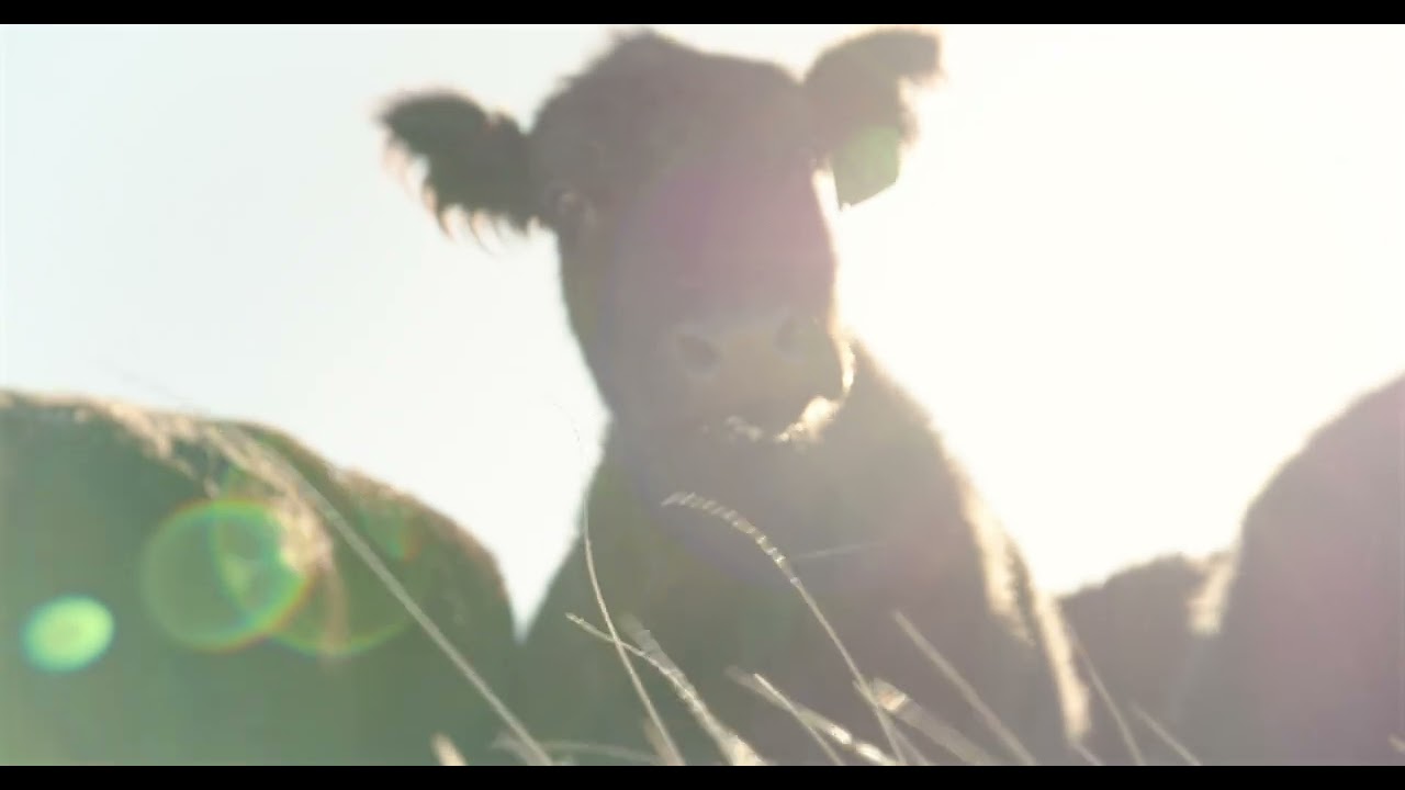 Beyond the Soil - trailer