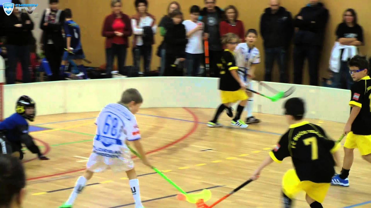 Sestřih elévové 3+1