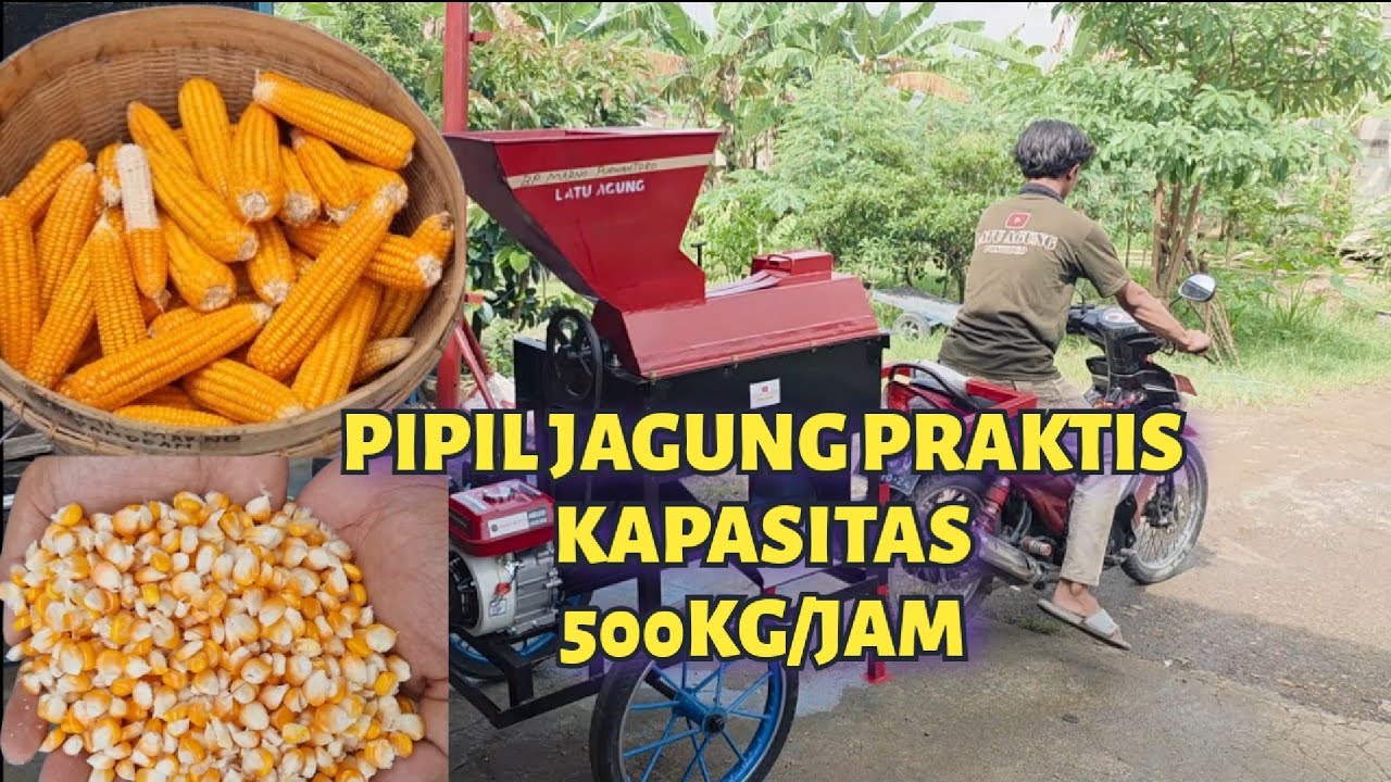 PIPIL JAGUNG MINIMALIS KAPASITAS 500Kg/jam wa.081359113222