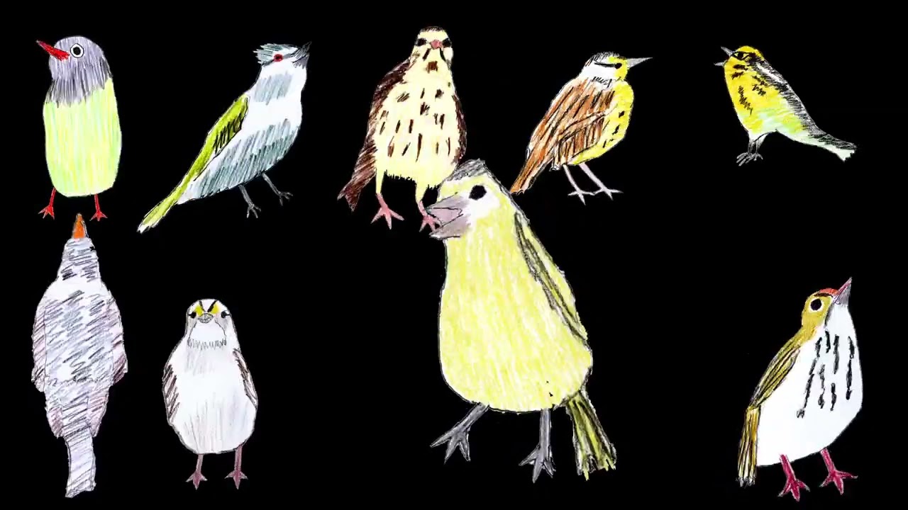 the menagerie