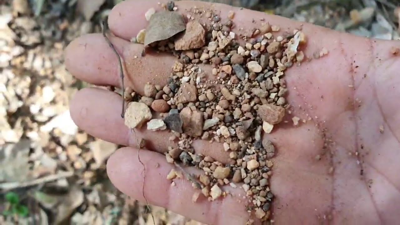 Bonsai Adventure - Em Busca do Pedrisco Secreto