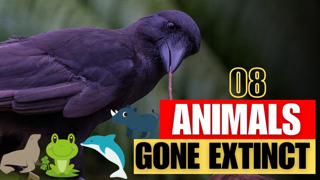 8 Animals that have gone extinct from Last 100 years | Extinct Animals || Extinct Animals