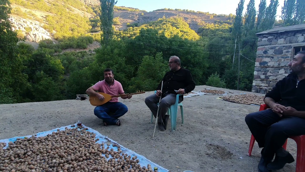 Metin Aktaş / Şotik