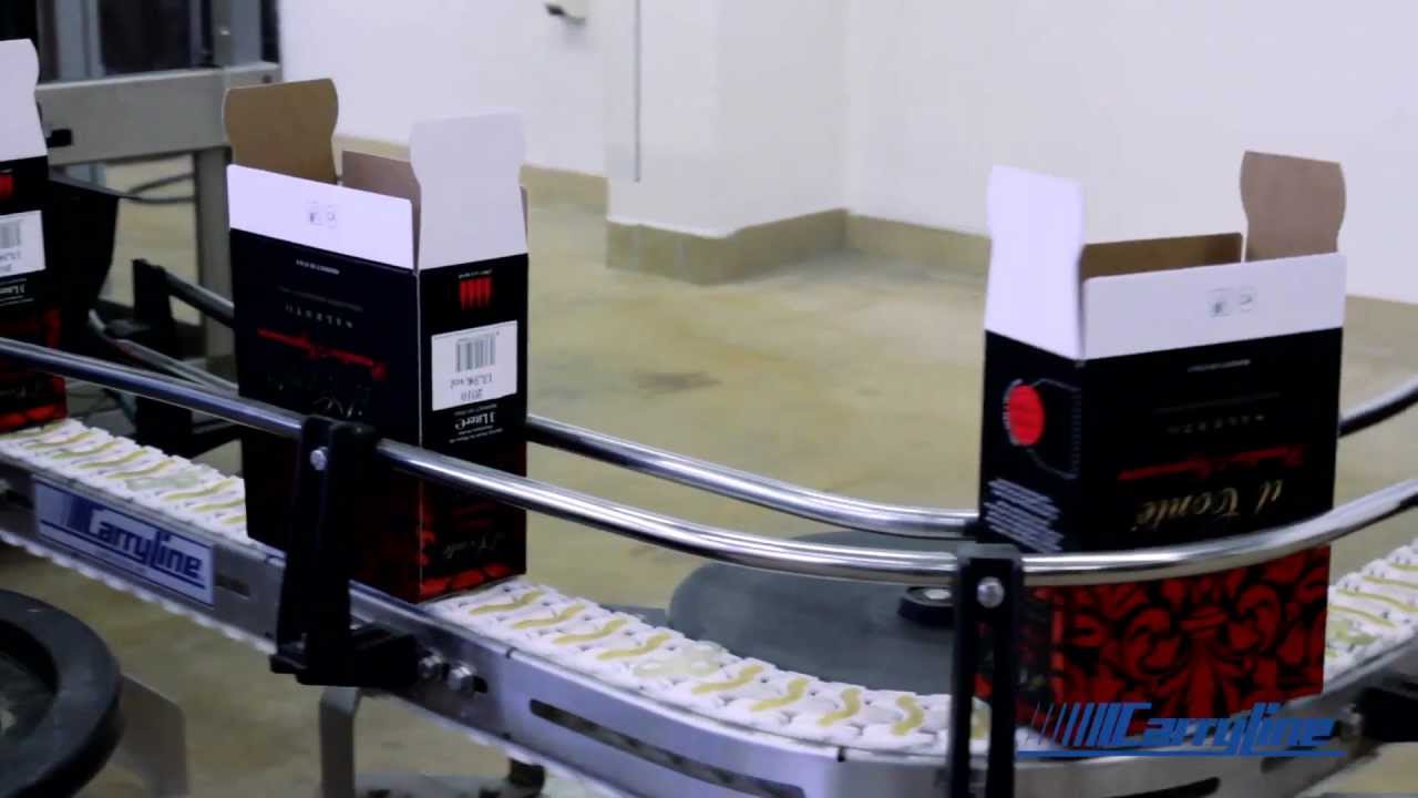 Carryline stainless steel conveyor S530 (83 mm) and S560 (220 mm)