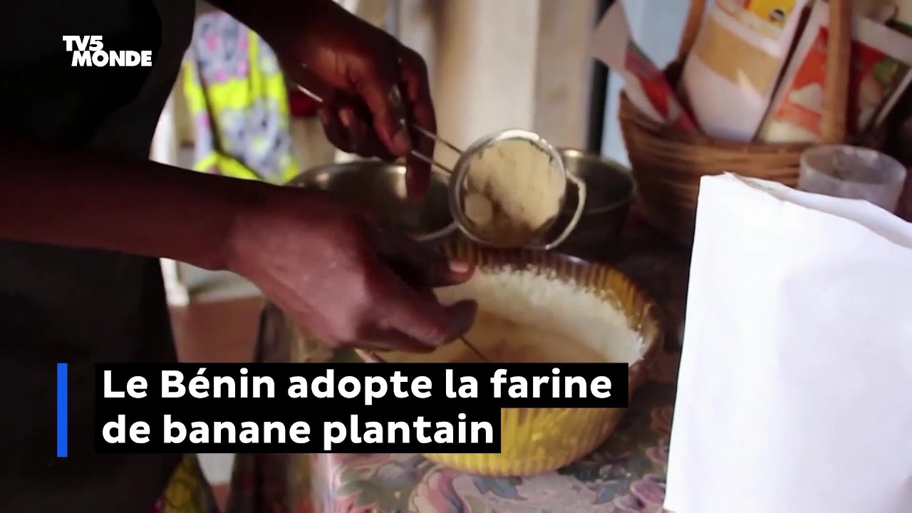 Le Bénin adopte la farine de banane plantain