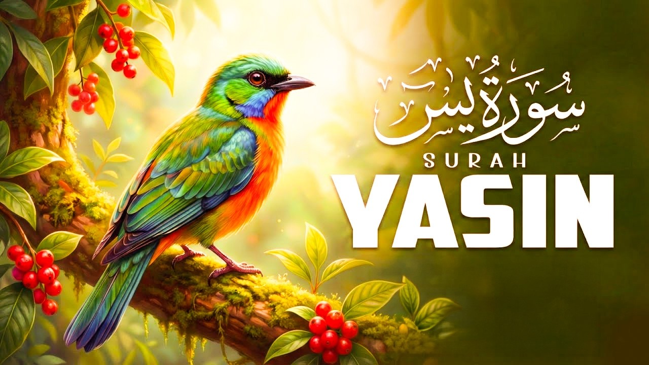 Surah Yaseen Tilawat by Sheikh Mishari Rashid Alafasy | Heart-Touching Quran Recitation | 2026