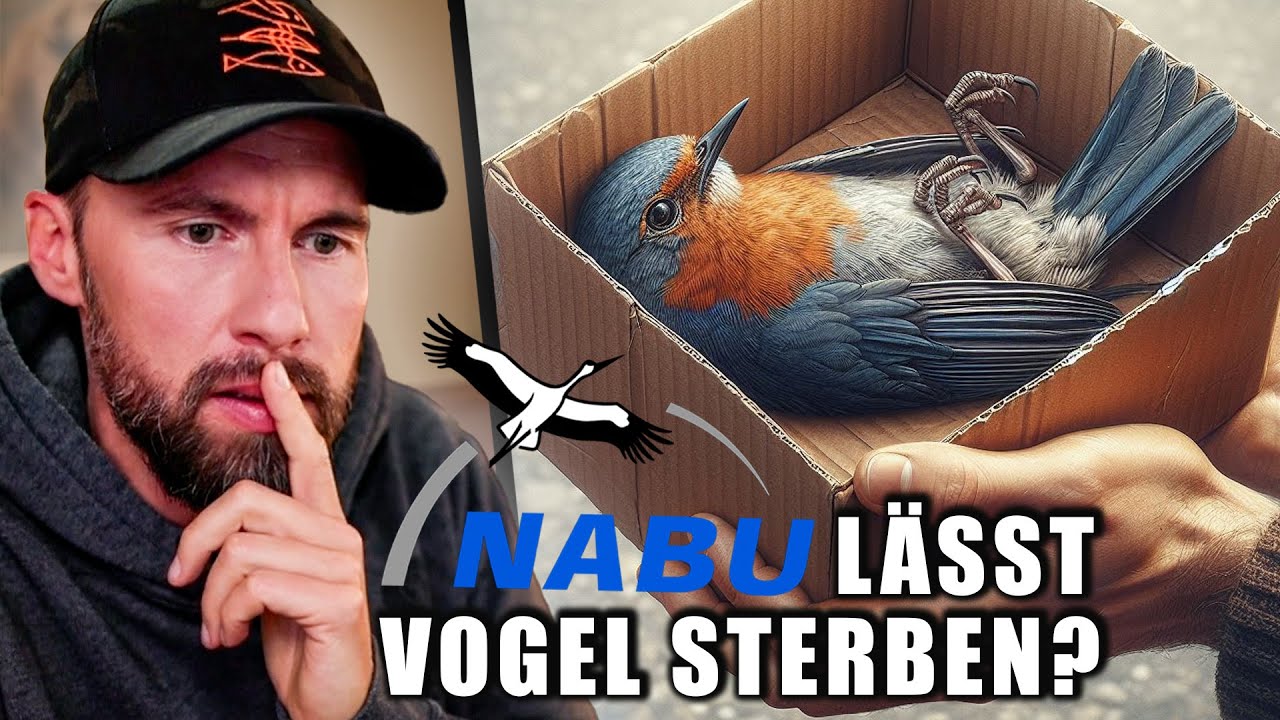 VERLETZTEN VOGEL STERBEN LASSEN?! Nabu hilft nicht im Notfall? | Robert Marc Lehmann