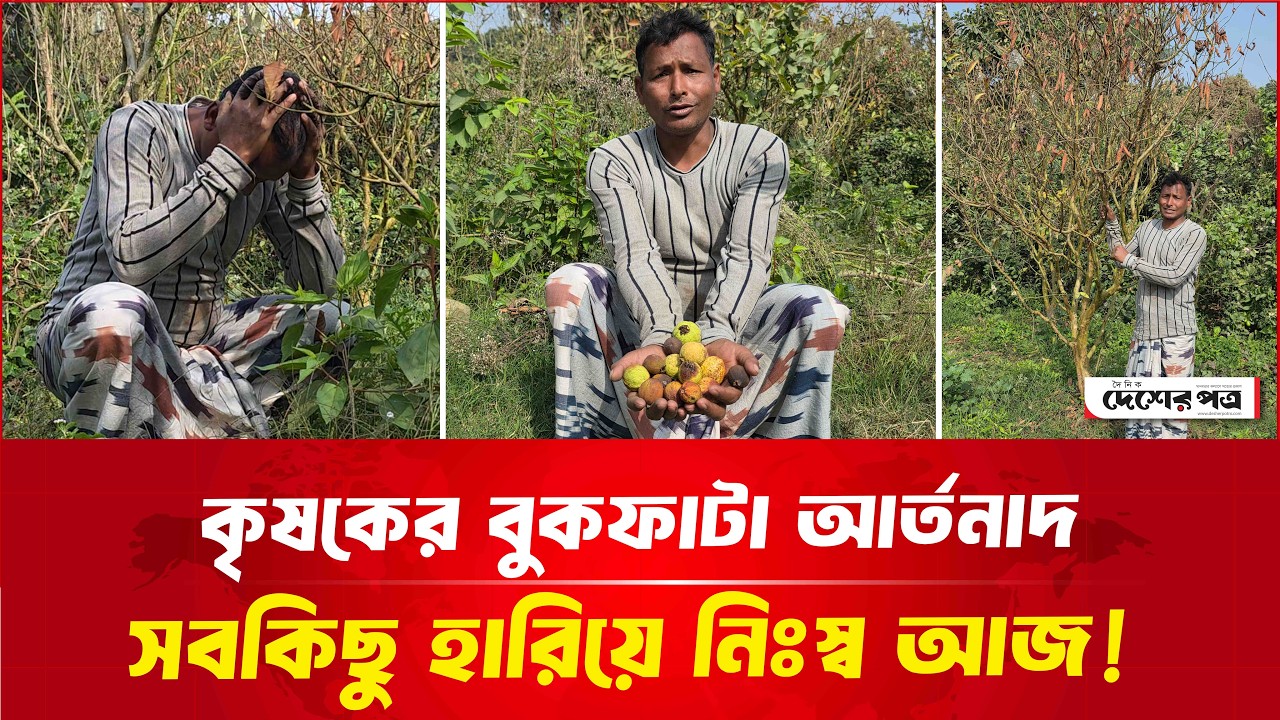 কৃষকের বুক'ফা'টা আ'র্ত'নাদ, সবকিছু হা'রিয়ে নিঃস্ব আজ! | দেশেরপত্র | Desherpotro