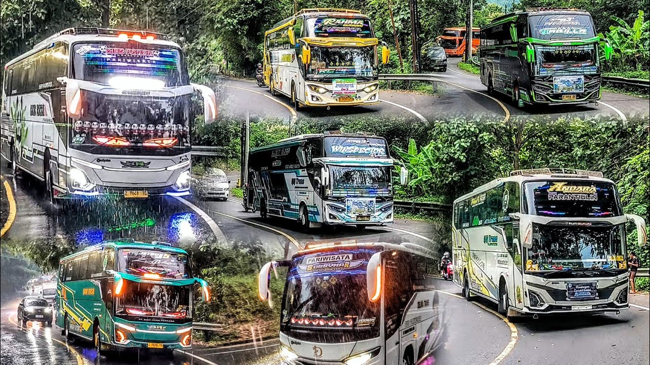 Klakson Bus Telolet Basuri Kids Panda Rahma Nursyifa Nabilla Winspector Andara BobbyKar Zulfikar