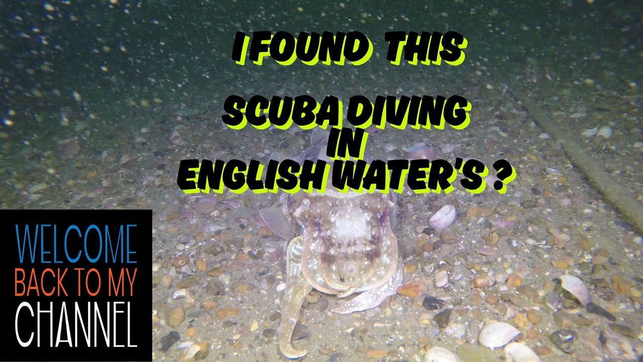 Pure GOLD In The ENGLISH Ocean 4K