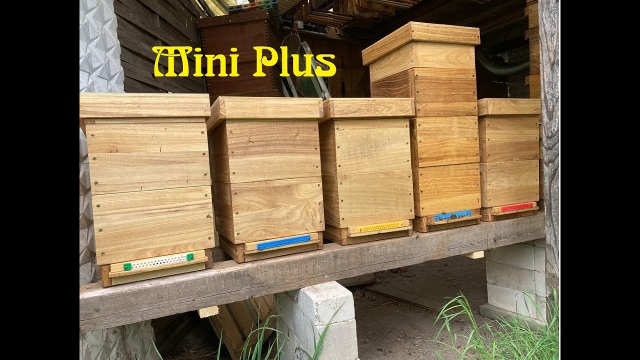 Mini Plus Klimazarge / Klimadeckel 03.07.22
