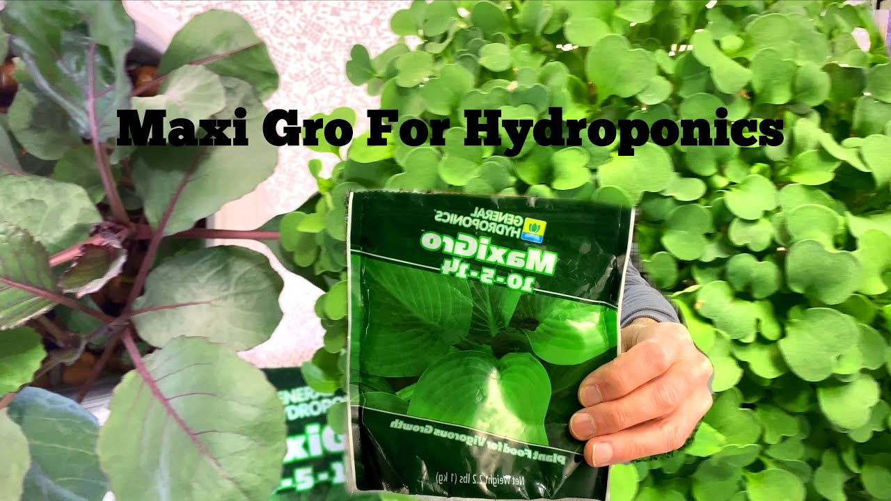 MaxiGro For Hydroponics