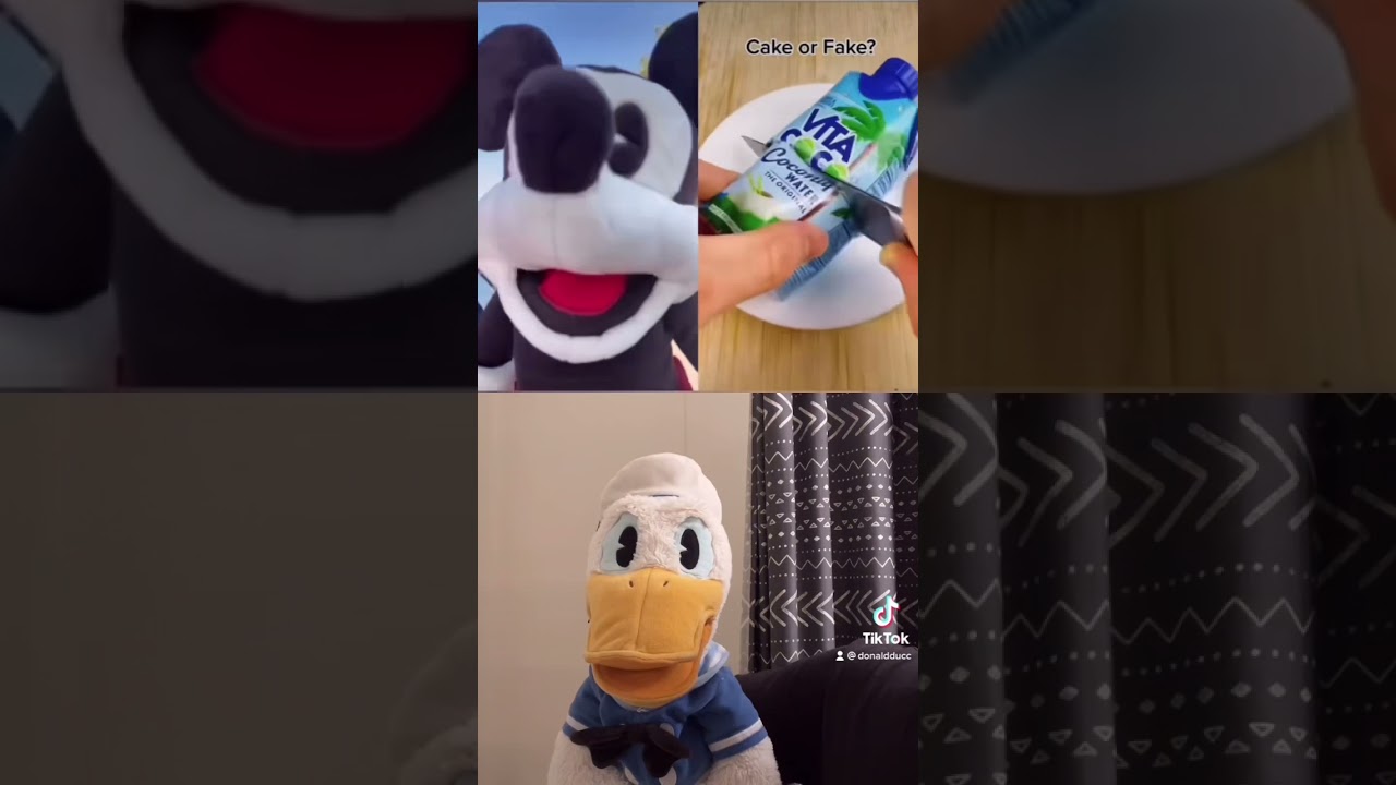 Donald Ducc is always better than Mickey Mouse 