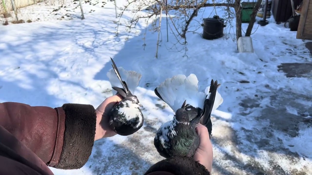 С Прощёным воскресеньем! Для друзей!
