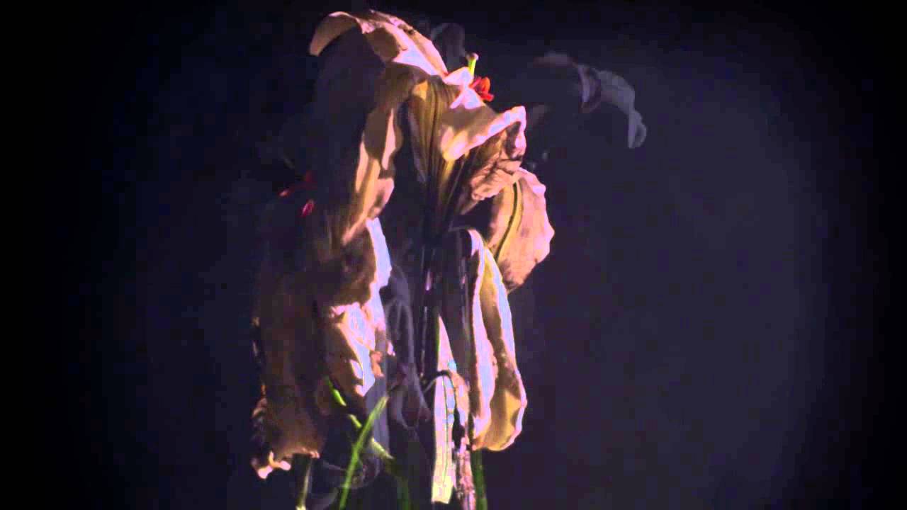 Lykke Li - I Never Learn (Official Audio)