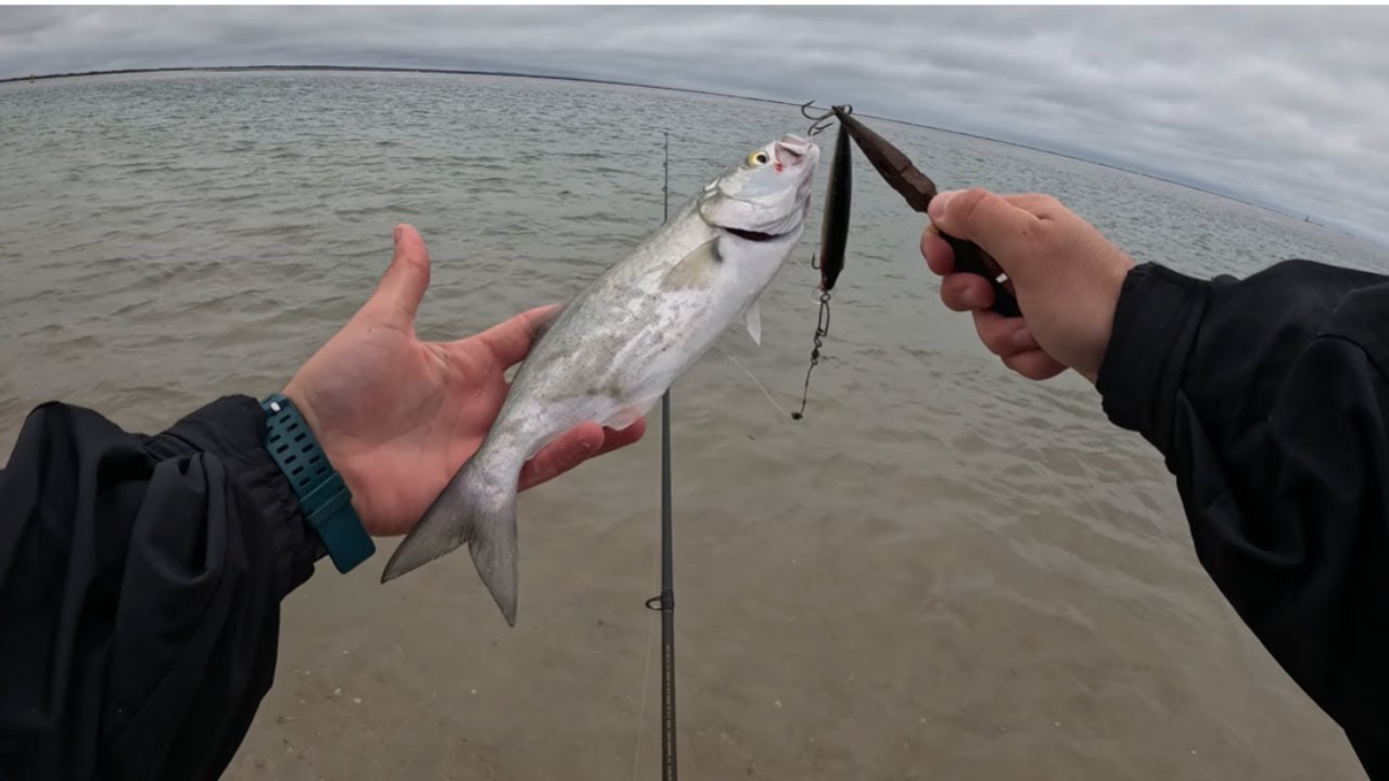 Catching Bluefish and Finding Fossil Shark Teeth in North Florida