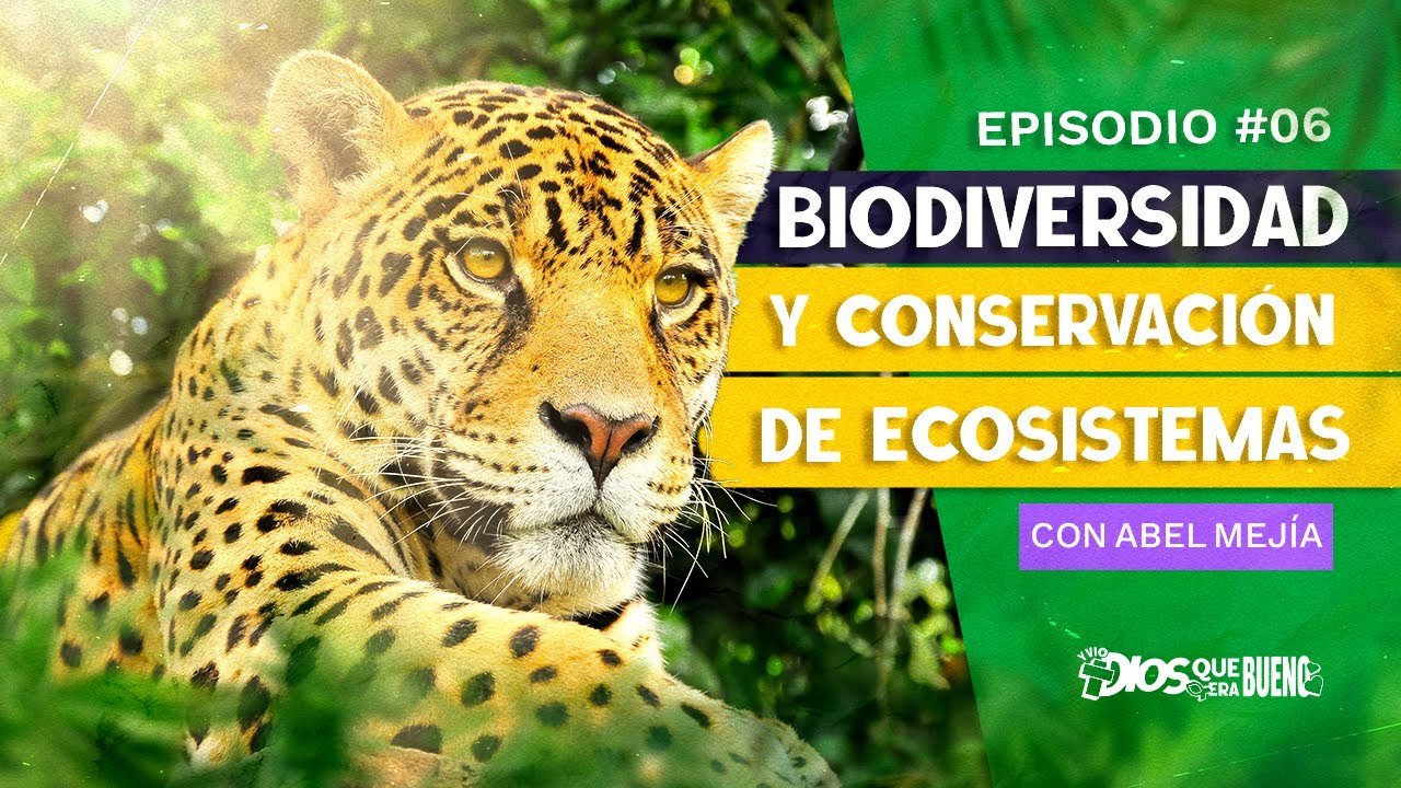 Biodiversidad y Conservación de Ecosistemas | Y Vio Dios Que Era Bueno #6