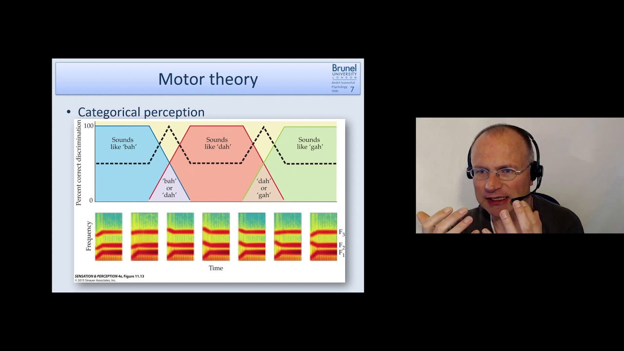 Cognitive Psychology Lecture 07 - Language 2 - Part 1 (Motor theory of speech perception)