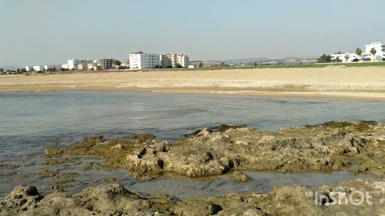 Yumurtalık balık avı..