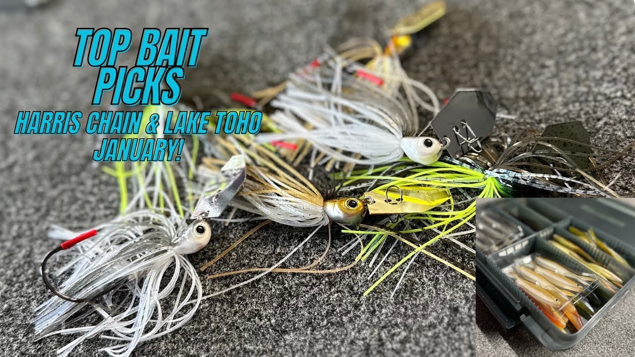 Top Bait Picks | Lake Toho & Harris Chain January Fishing