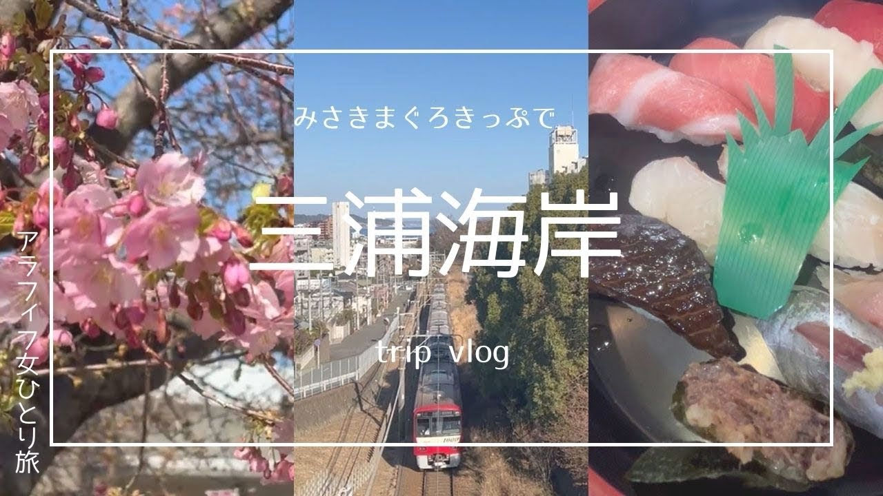 アラフィフ女ひとり旅/神奈川県三浦海岸/みさきまぐろきっぷで桜とまぐろと温泉と