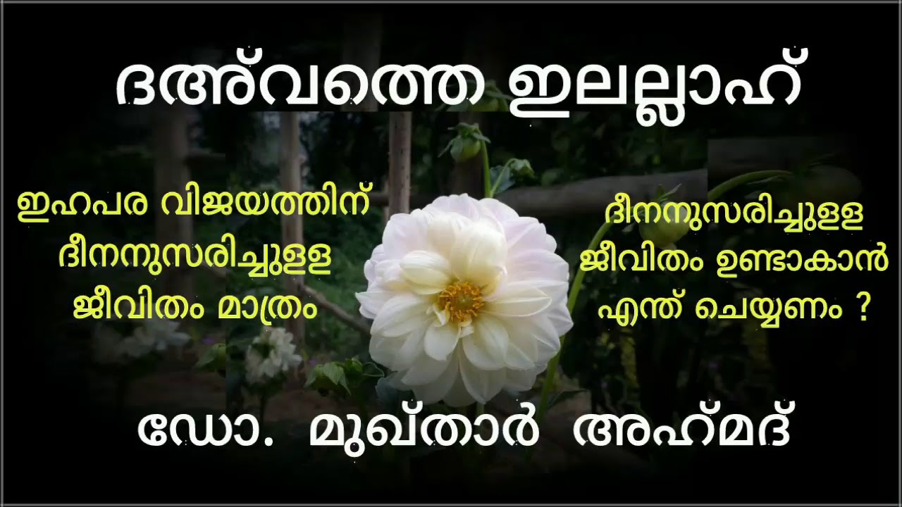 അല്ലാഹുവിന്റെ ദീനിന്റെ പരിശ്രമം - ഡോ. മുഖ്താർ അഹ്‌മദ്‌
