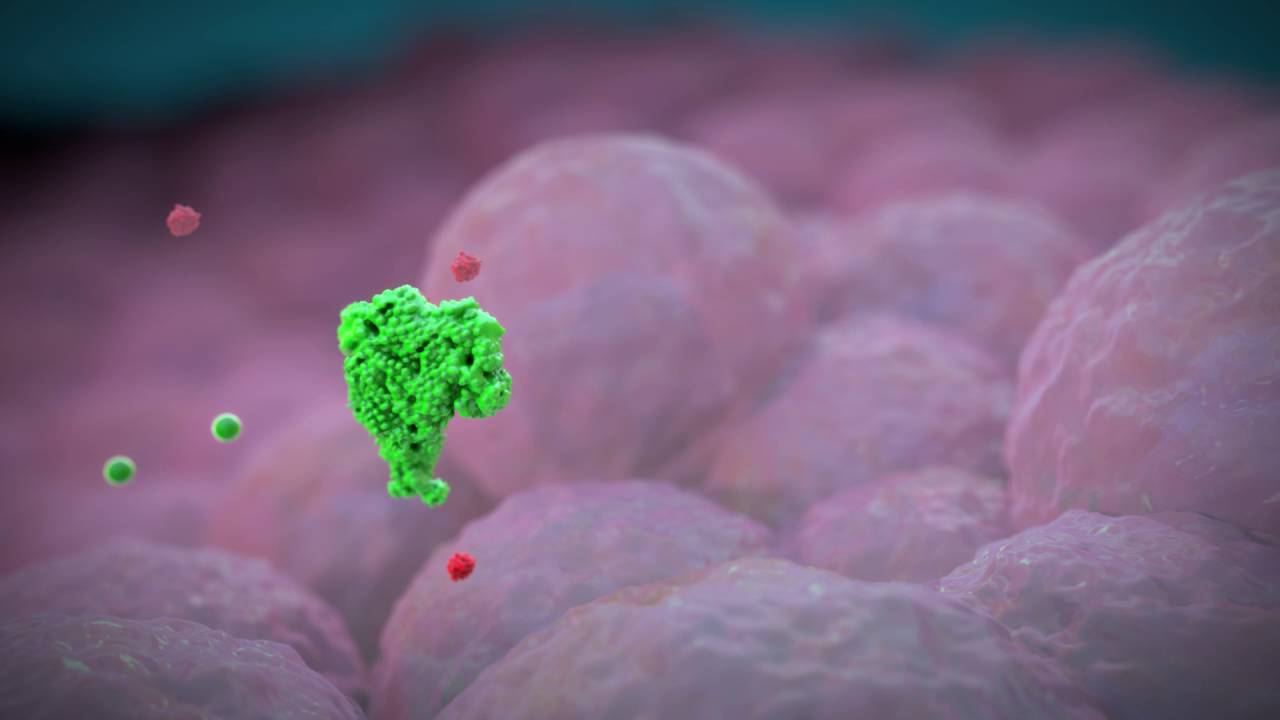 Glutati&oacute;n Peroxidasa (GPx) -  Espa&ntilde;ol