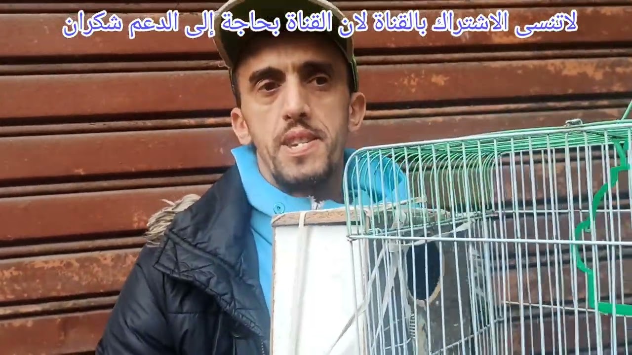سوق قريعة يوم الاحد 8/ 2/ 2026 تعرفوا على اتمنة طيور الزينة 🦜 والحسوان.    ( الاشتراك بالقناة)