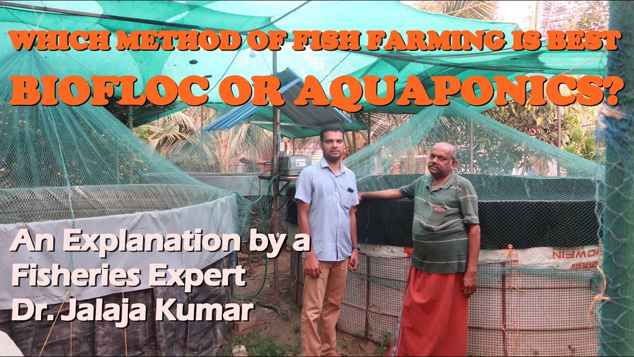 Comparison of BIOFLOC and AQUAPONICS Fish Farming Techniques !!