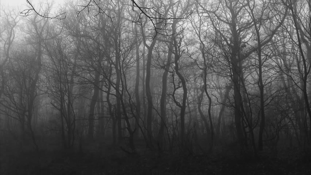 paledoll - not today, not tomorrow